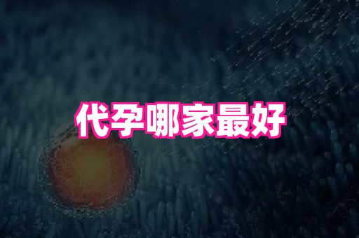 swisee孕网 1