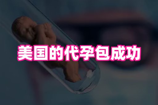 swisee孕网 3