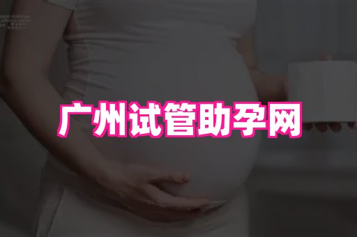 swisee孕网 4